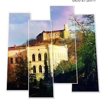 Ayani 류블랴나