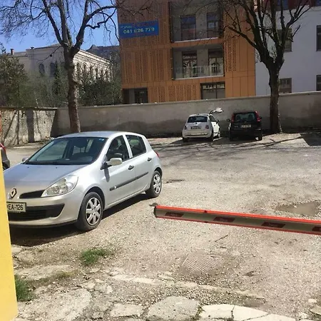 Ayani *