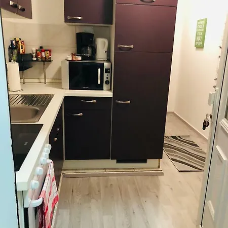 Ayani شقة ليوبليانا